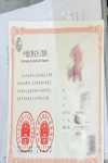 60后考生注安證書(shū)到手，我們還有什么理由不努力？